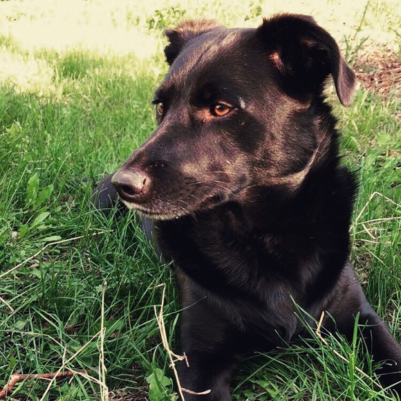 Meet your Posher, Alison - Picture 1 of 1